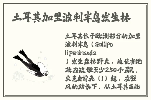 两位陪读妈妈王静的故事